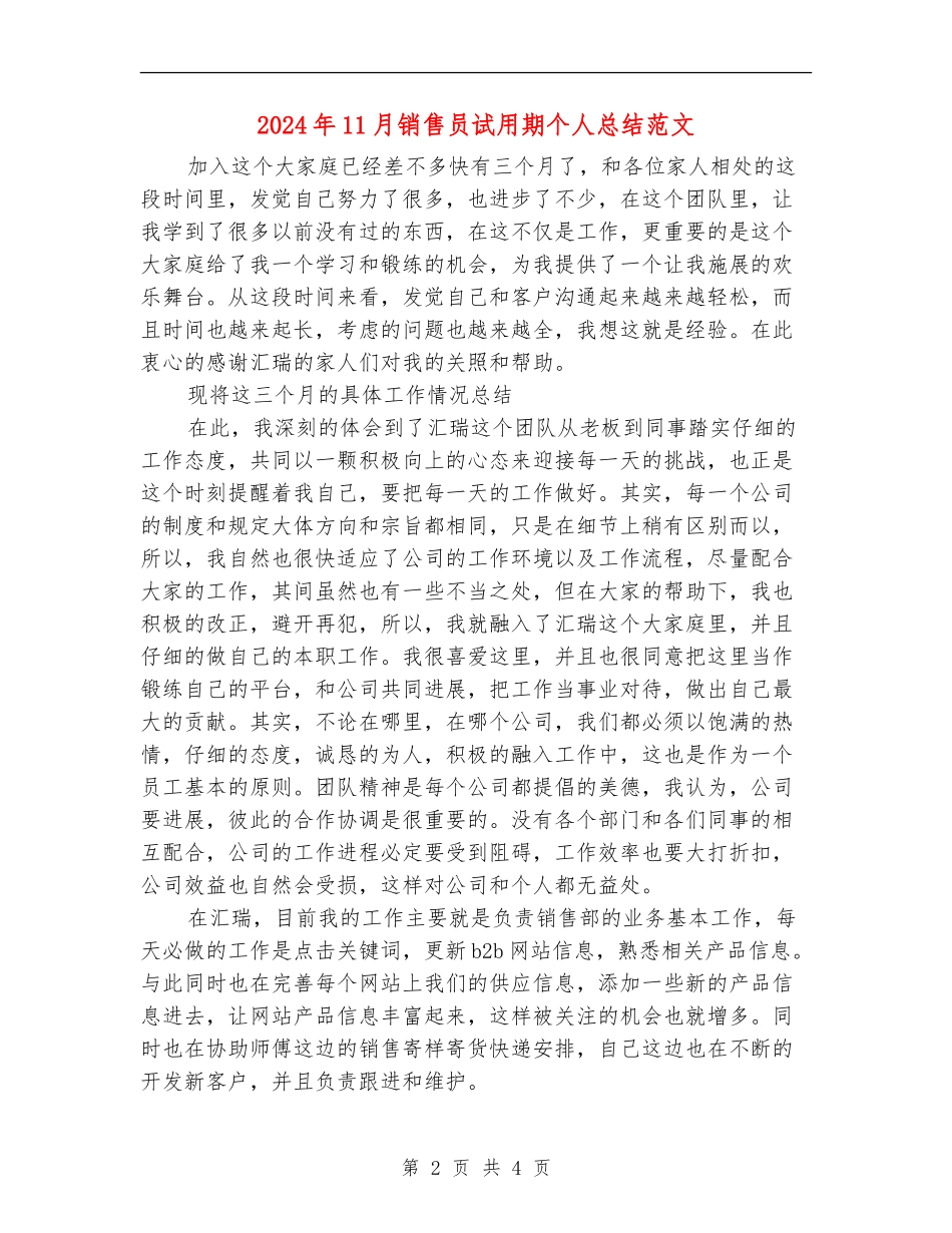 2024年11月销售员试用期个人总结范文_第2页
