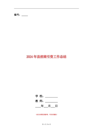 2024年县招商引资工作总结