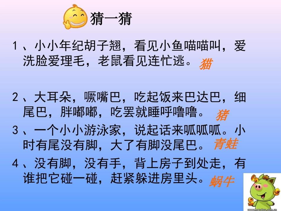 动物作文课件_第1页