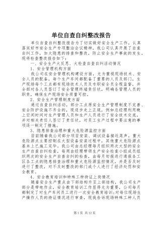 单位自查自纠整改报告