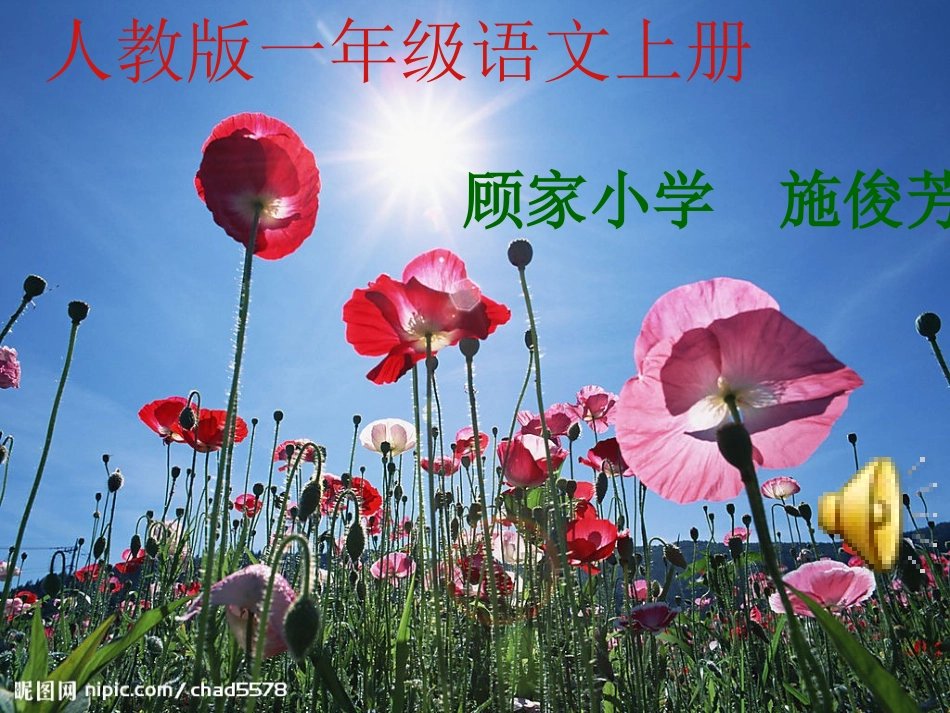 《阳光》原创课件_第1页