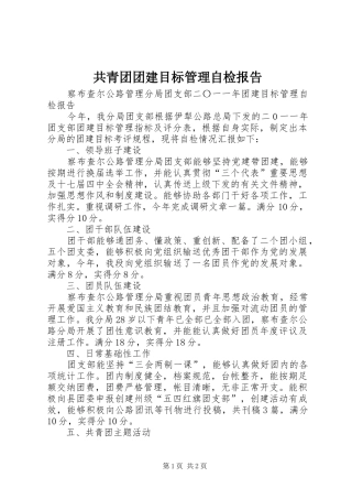 共青团团建目标管理自检报告