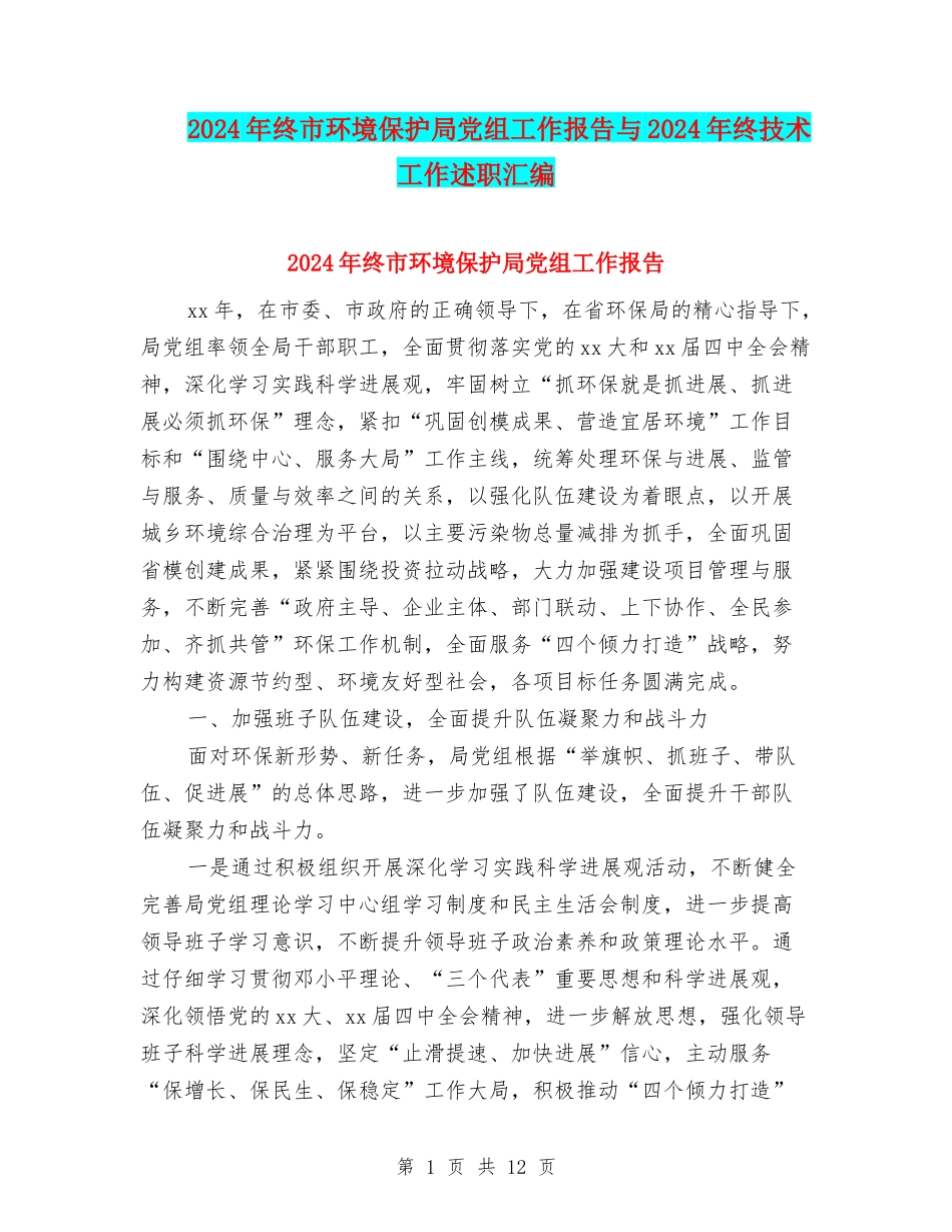 2024年终市环境保护局党组工作报告与2024年终技术工作述职汇编_第1页