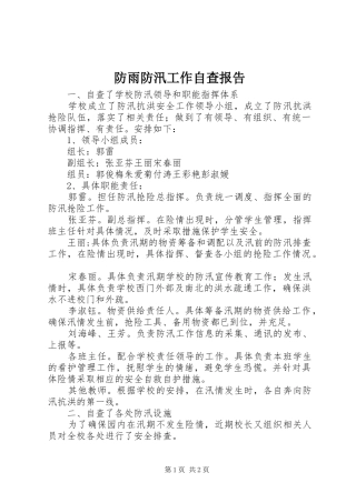 防雨防汛工作自查报告