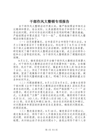干部作风大整顿专项报告