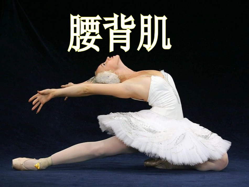 舞蹈《金孔雀轻轻跳》课件_第3页