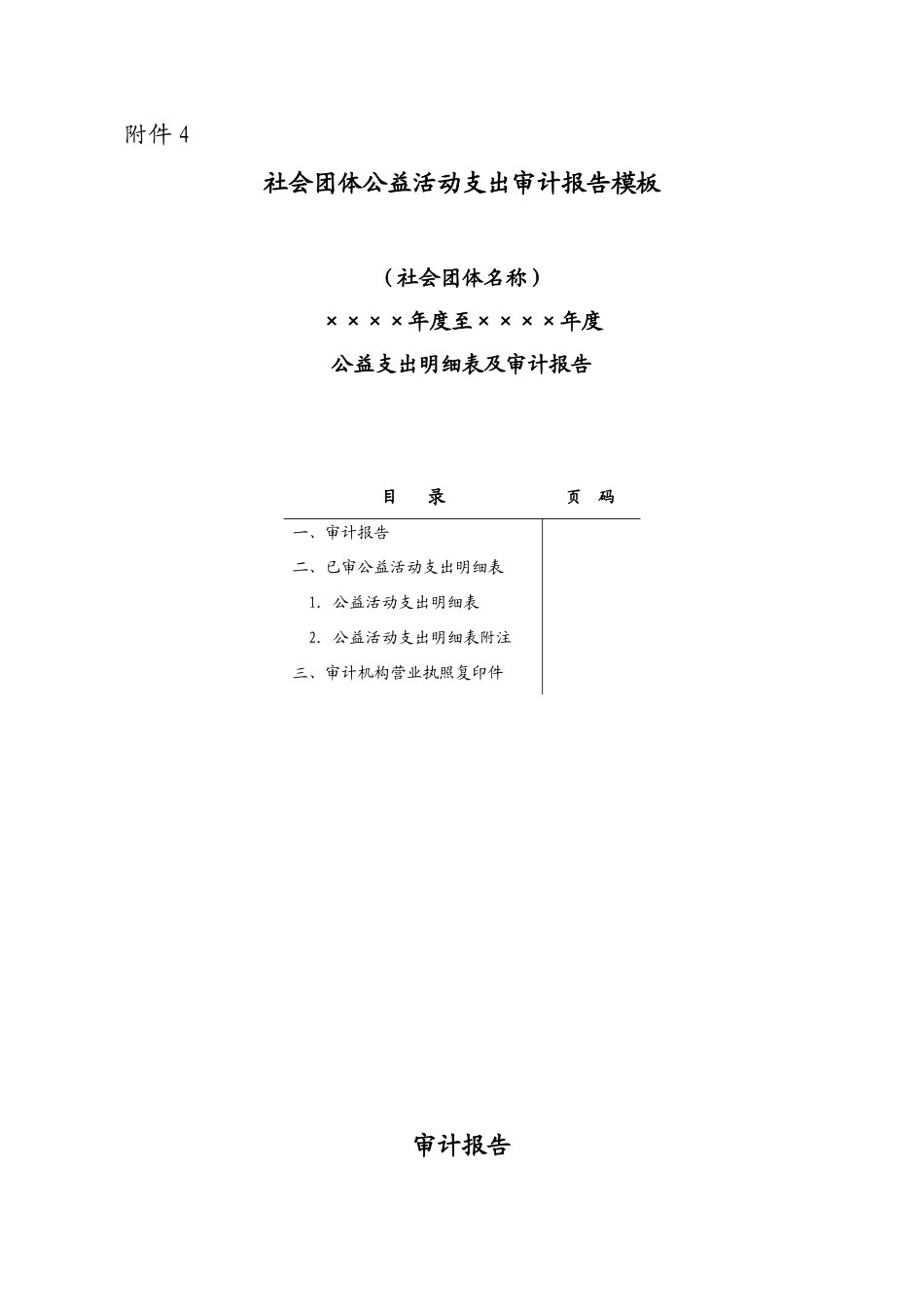 社会团体公益活动支出审计报告模板_第1页