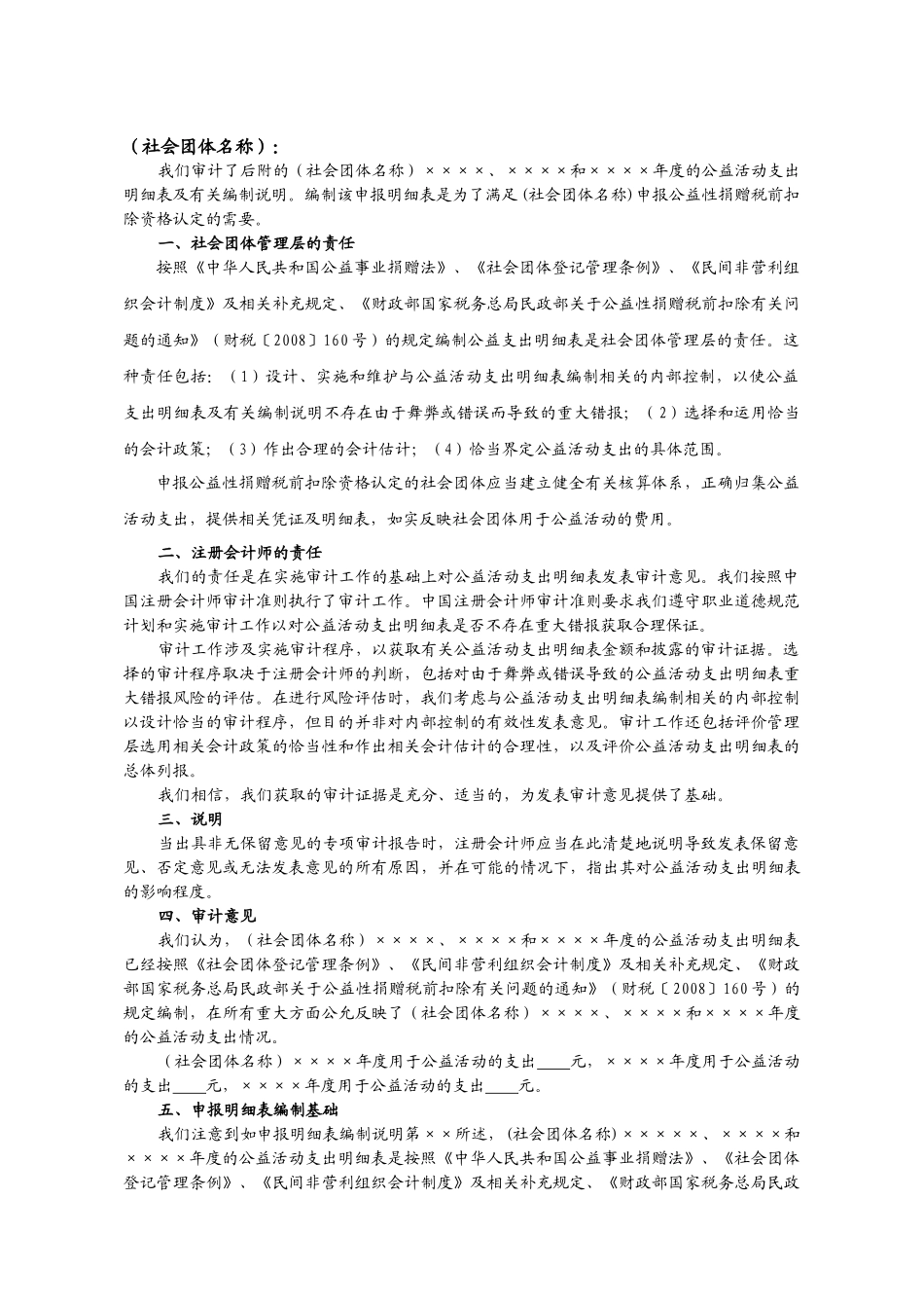 社会团体公益活动支出审计报告模板_第2页