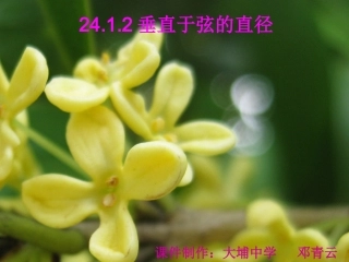 《垂直于弦的直径》