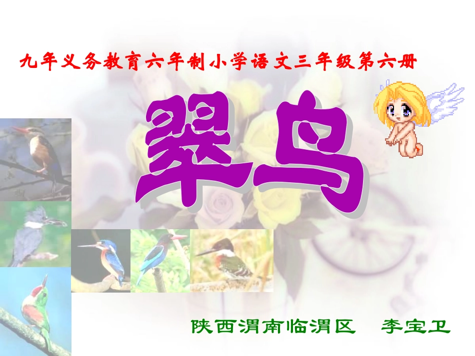 翠鸟课件 (2)_第1页