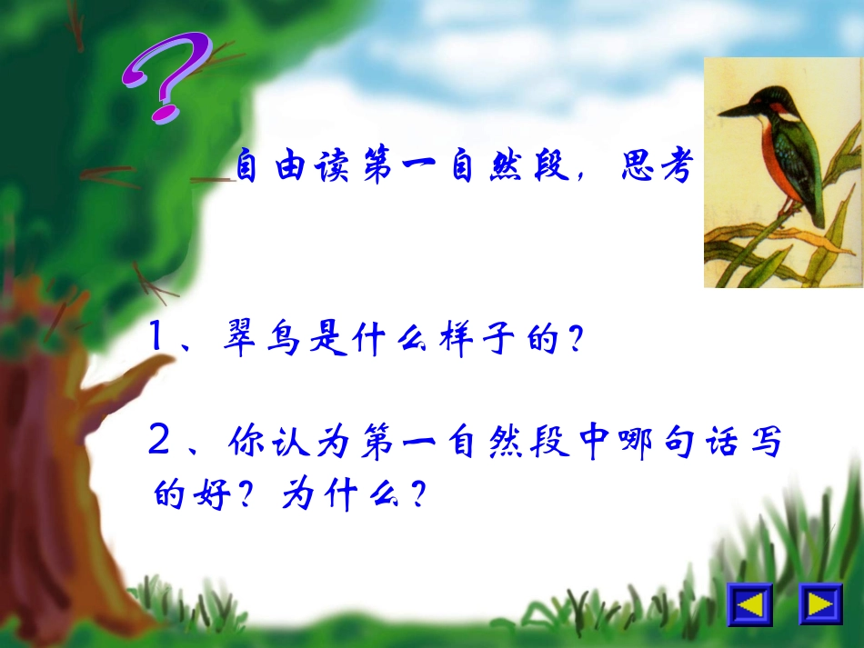 翠鸟课件 (2)_第2页