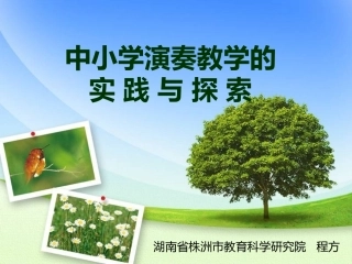 常规打击乐器的演奏与教学