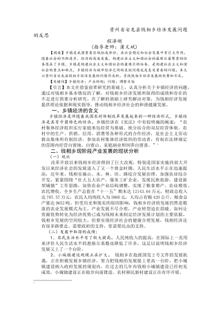 乡镇经济发展问题的反思 初稿