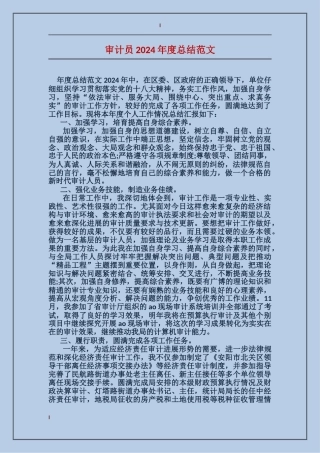审计员2017年度总结范文