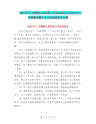2024年11月销售人员年终工作总结范文与2024年11月销售内勤个人工作总结范文汇编