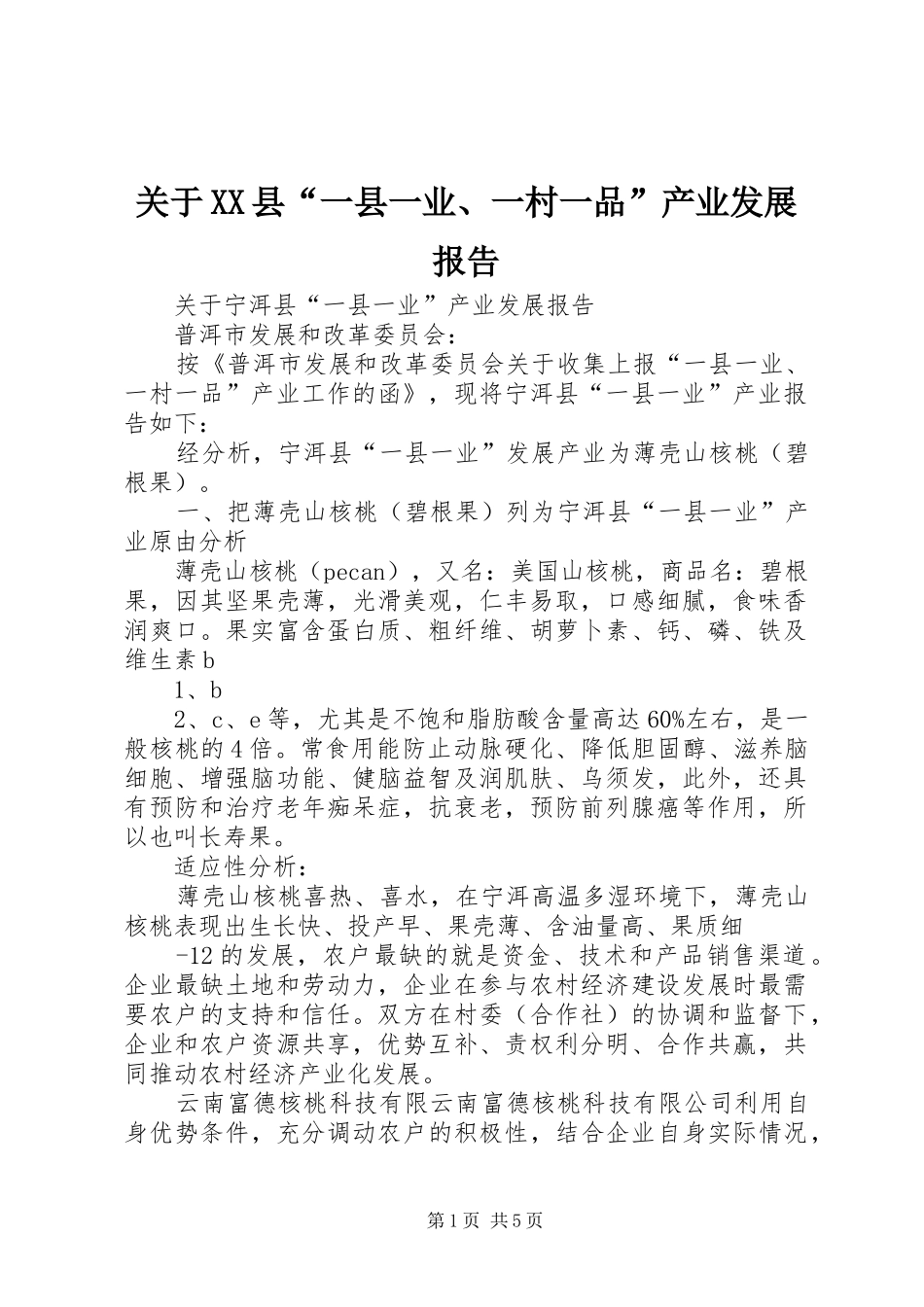 关于XX县“一县一业、一村一品”产业发展报告_第1页