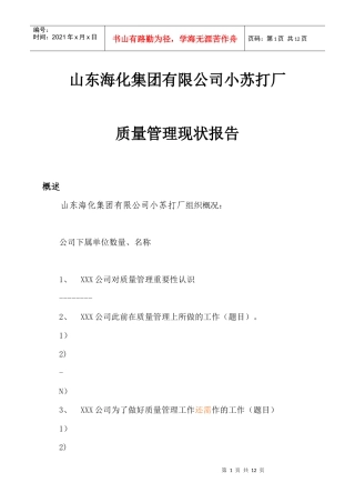 质量管理现状报告