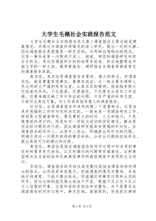 大学生毛概社会实践报告范文
