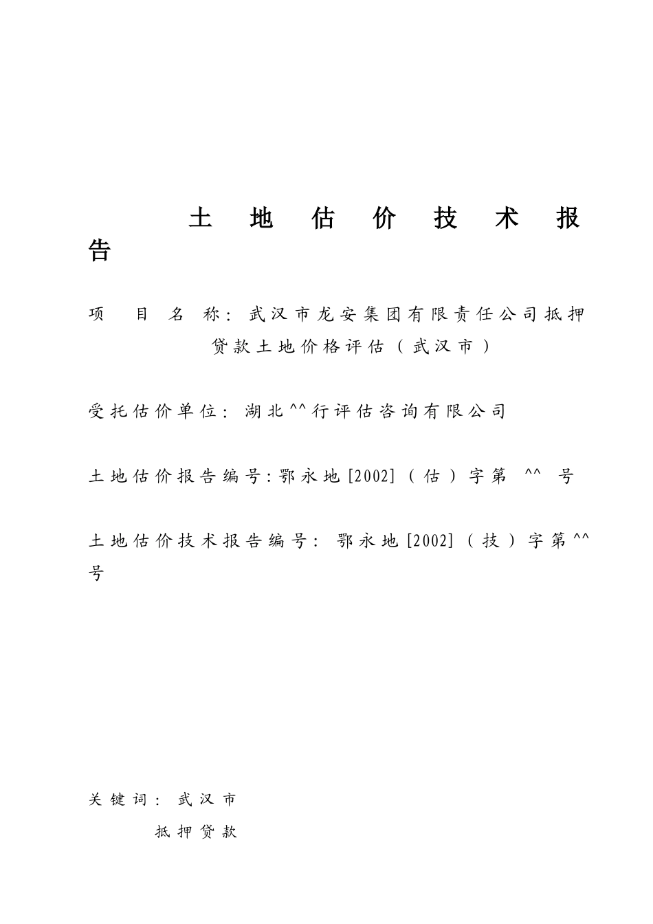 武汉龙安集团有限公司土地抵押贷款报告_第1页