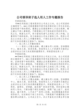 公司领导班子选人用人工作专题报告