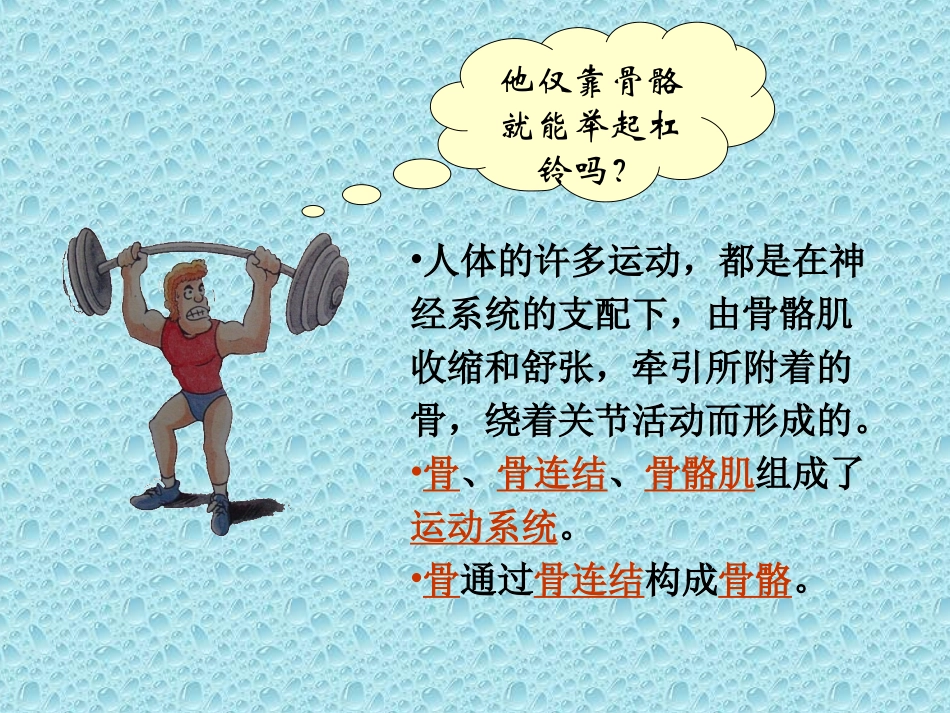人体的支持与运动1_第3页