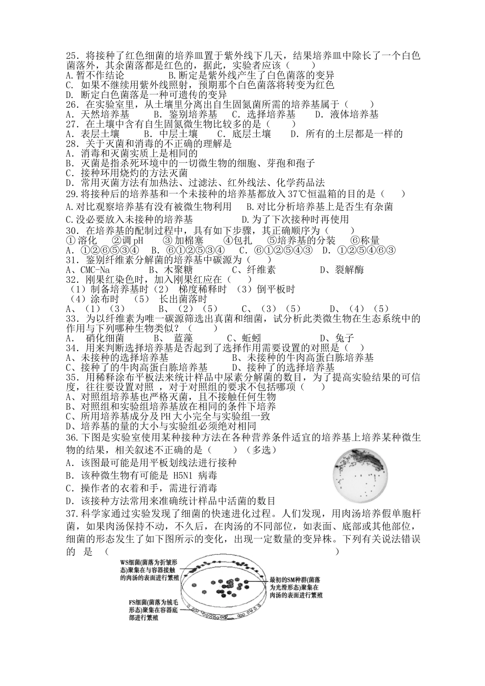 微生物的培养与应用_单元测试用_第3页