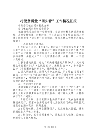 村脱贫质量“回头看”工作情况汇报