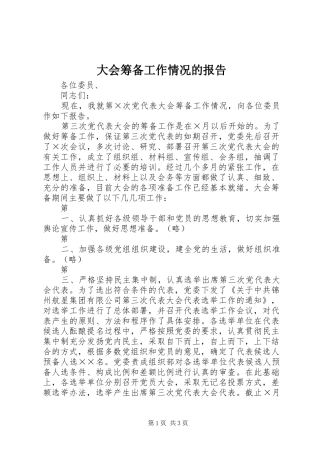 大会筹备工作情况的报告