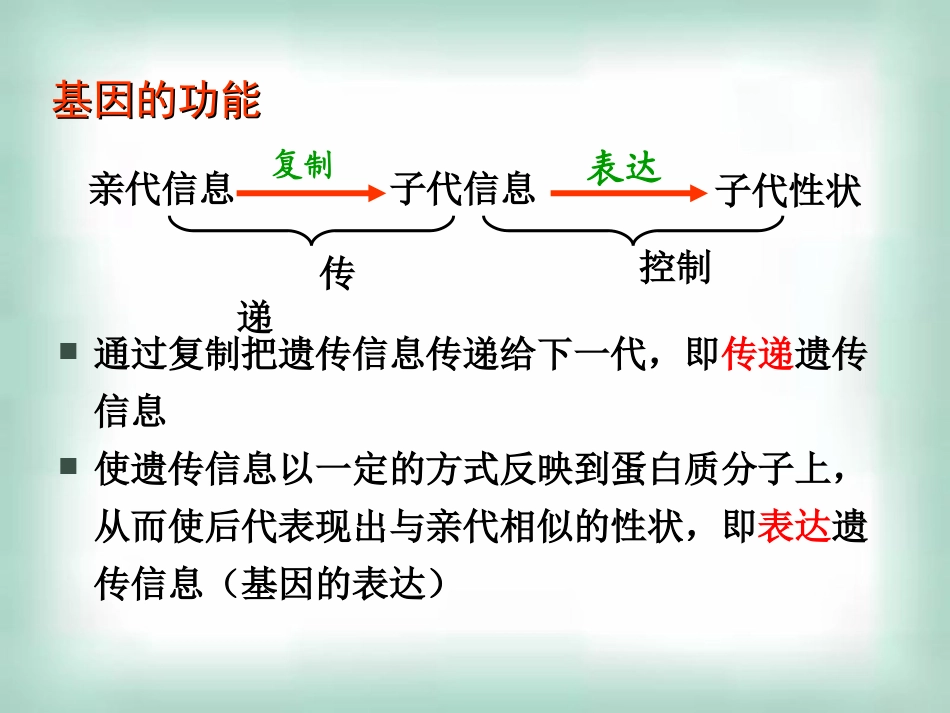 高中生物《42基因对性状的控制》课件新人教版必修2_第2页