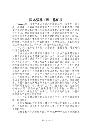 固本强基工程工作汇报