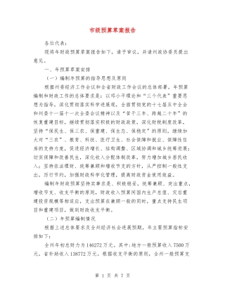 市级预算草案报告