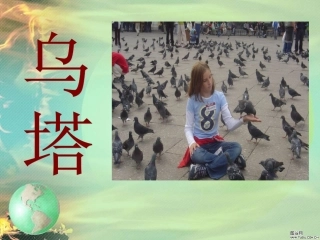 四年级上语文《乌塔》课件 (2)