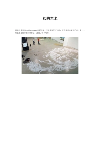 盐的艺术 创新时代 网供稿