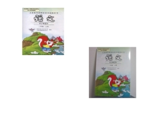 《酸的和甜的》说课课件