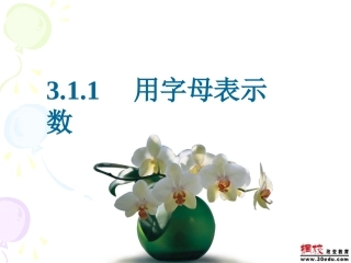 新课标华师大版七年级数学311用字母表示数_[原创][整理]