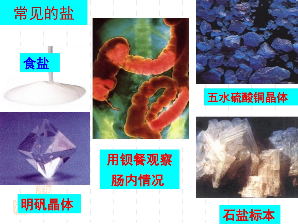课题1_生活中常见的盐_第2页