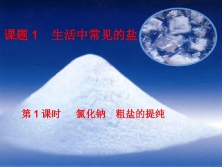 课题1_生活中常见的盐