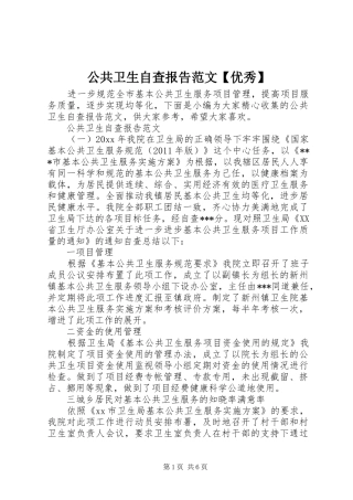 公共卫生自查报告范文【优秀】