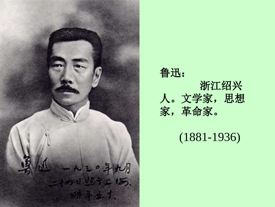 人教版小学语文六年级上册《一面》PPT课件_第2页
