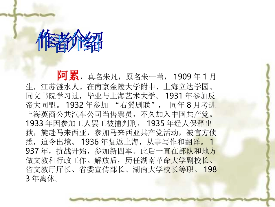 人教版小学语文六年级上册《一面》PPT课件_第3页