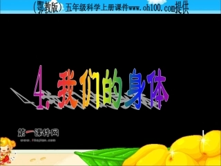 (鄂教版)五年级科学上册《我们的身体》