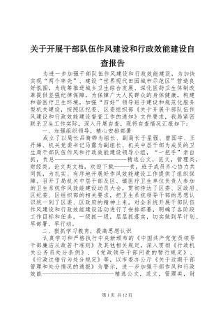 关于开展干部队伍作风建设和行政效能建设自查报告