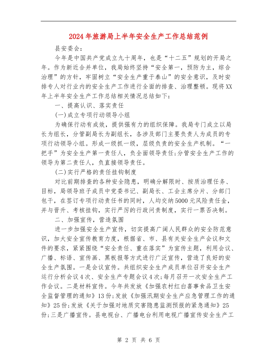 2024年旅游局上半年安全生产工作总结范例_第2页
