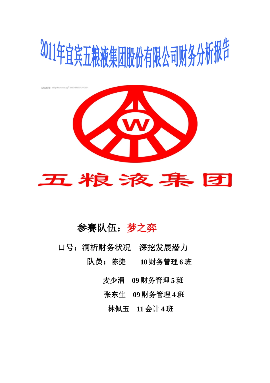 五粮液集团有限公司财务综合分析报告书_第1页