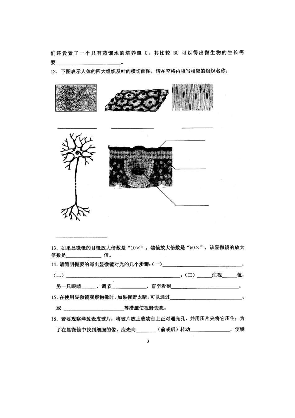 文澜中学浙教版七年级〈科学〉显微镜下的细胞与生物练习_第3页
