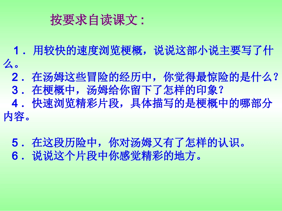 汤姆索亚历险记_第3页