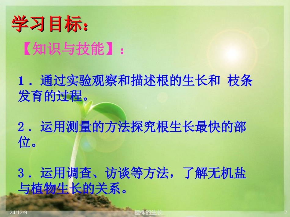 七年级生物上册-植株的生长课件_第2页