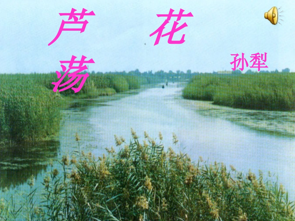《芦花荡》公开课课件_第1页