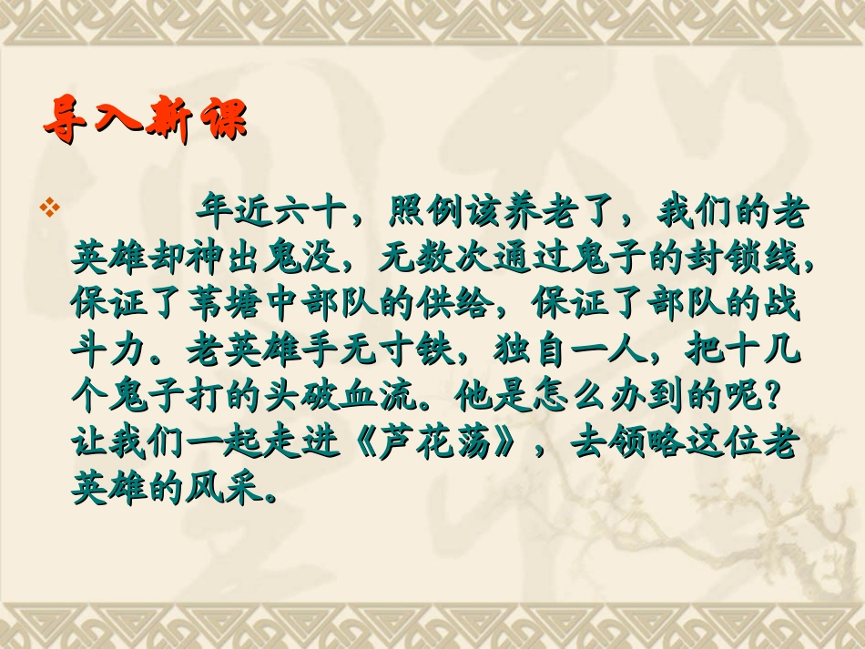 《芦花荡》公开课课件_第3页