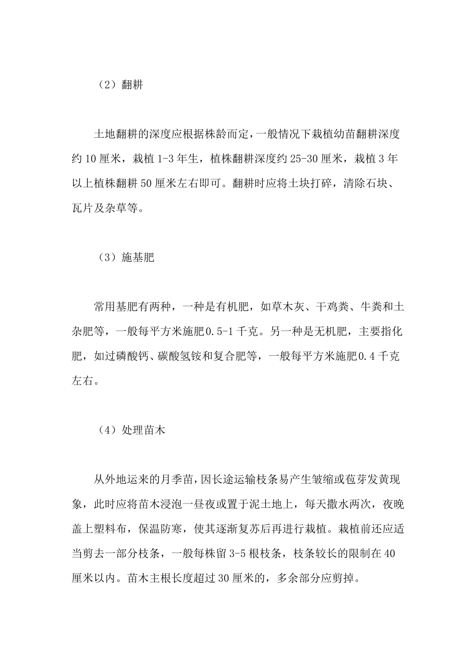 月季花的种植技术_第2页